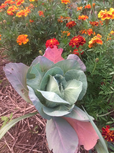 History Museum «SLATER MILL-Historic Site», reviews and photos, 67 Roosevelt Ave, Pawtucket, RI 02860, USA