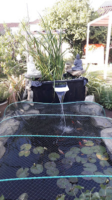 US La Ferrière Vendée Tennis de Table à La Ferrière