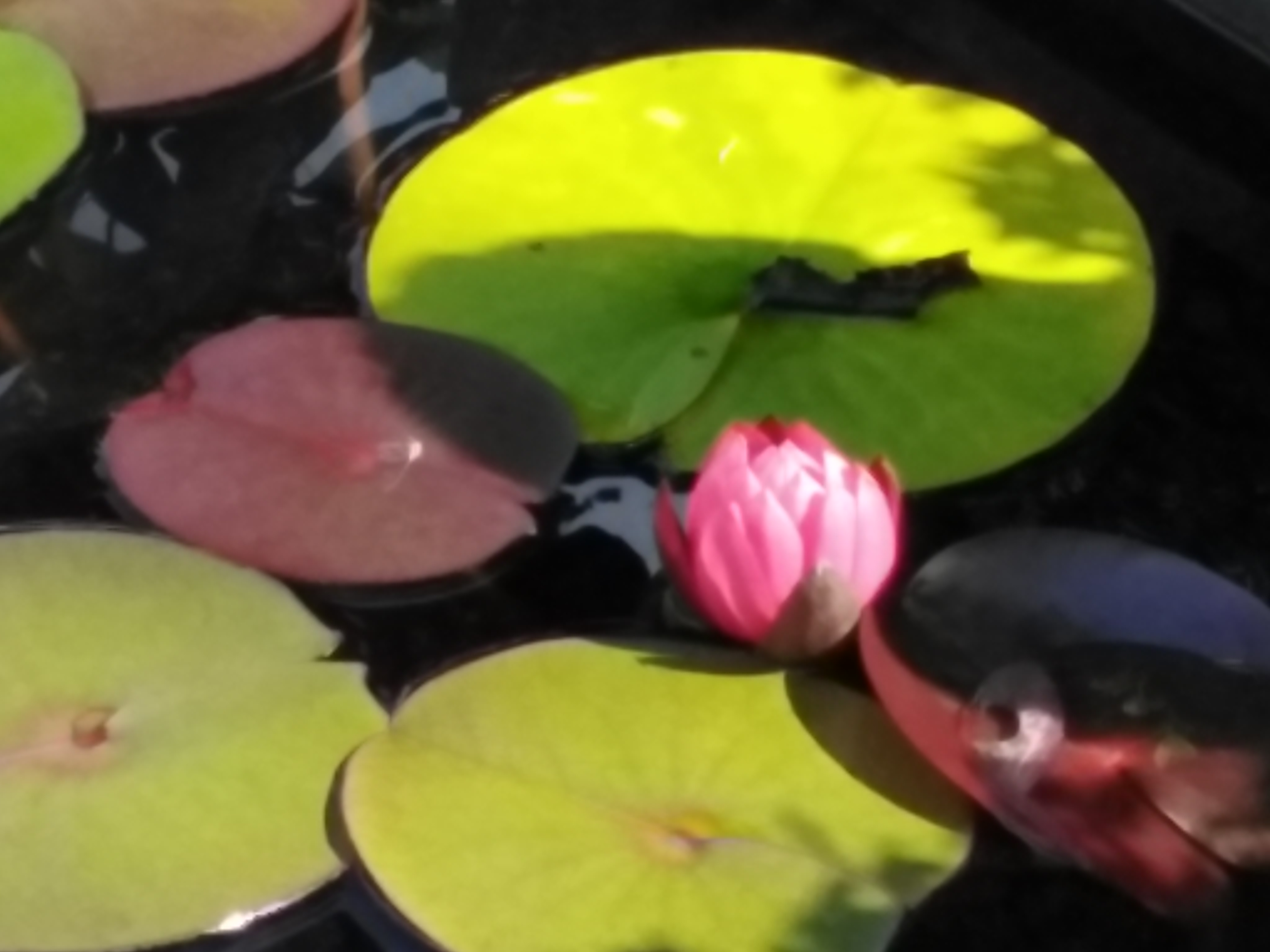 Photo n° 31 de l'avis de isis.a fait le 02/11/2023 à 21:16