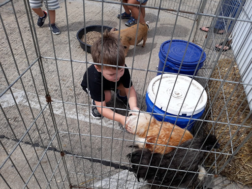 School «Lighthouse Private School», reviews and photos, 5600 Horizon Rd, Rockwall, TX 75032, USA