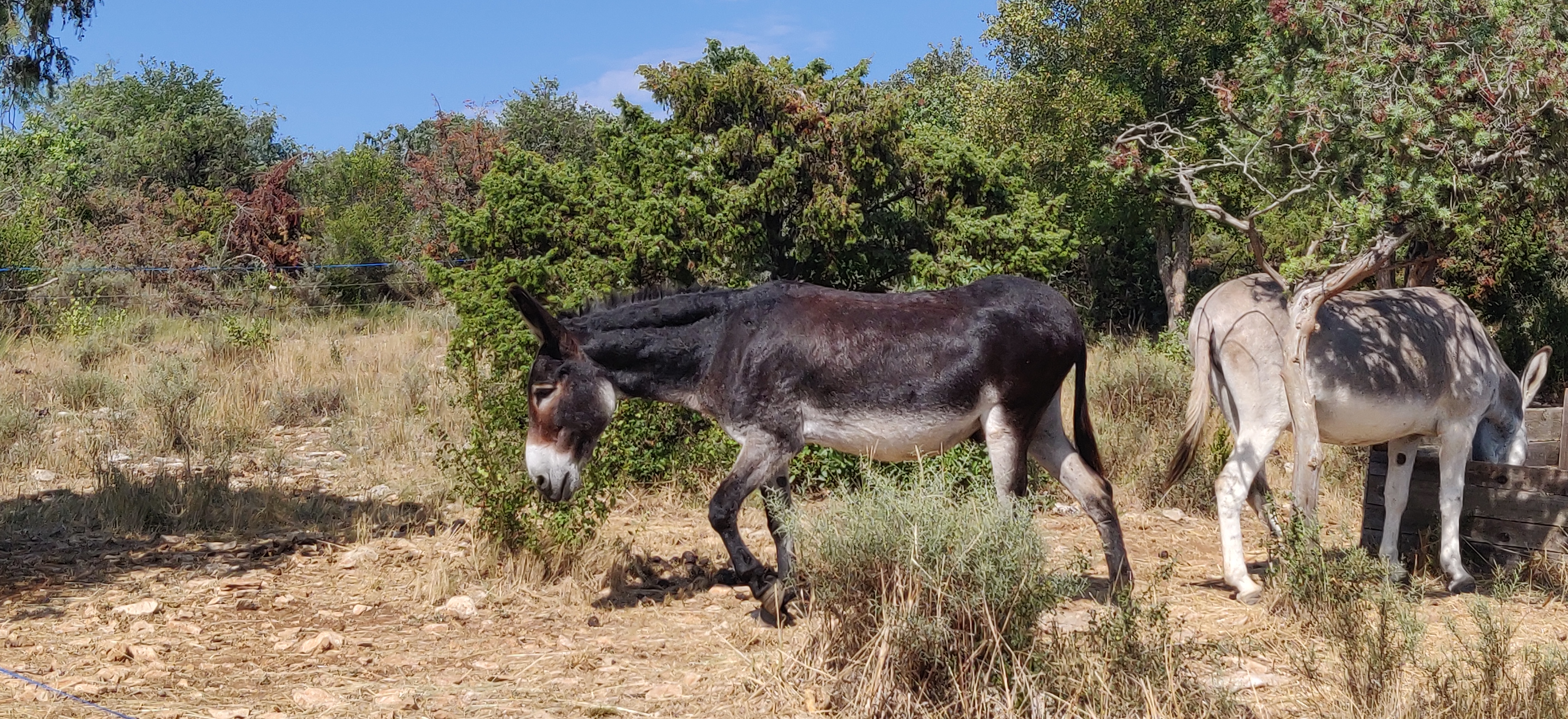 Photo n° 1 de l'avis de Jean-Baptiste.� fait le 17/08/2023 à 15:30
