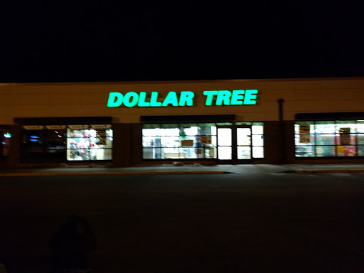 Dollar Store «Dollar Tree», reviews and photos, 10600 France Ave S, Bloomington, MN 55431, USA