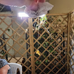 Photo n°2 de l'avis de Stéphane.r fait le 14/08/2022 à 19:52 sur le  Osteria del Porto à Diano Marina