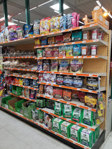 Grocery Store «Market Basket», reviews and photos, 30 NH-103, Warner, NH 03278, USA