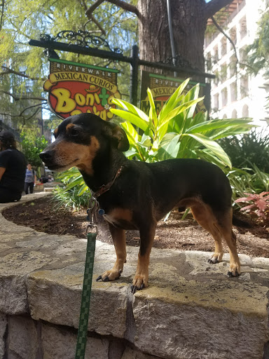 Event Venue «Rio Plaza», reviews and photos, 245 E Commerce St, San Antonio, TX 78205, USA