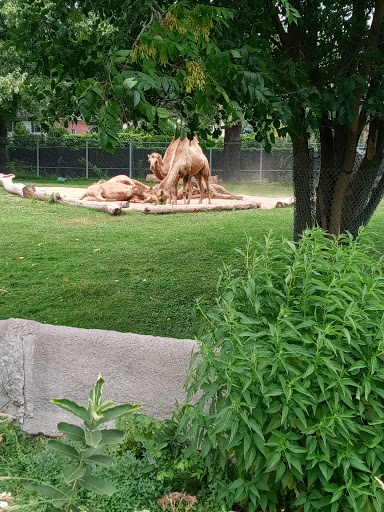 Zoo «Arctic Ring of Life», reviews and photos, 8450 W 10 Mile Rd, Royal Oak, MI 48067, USA