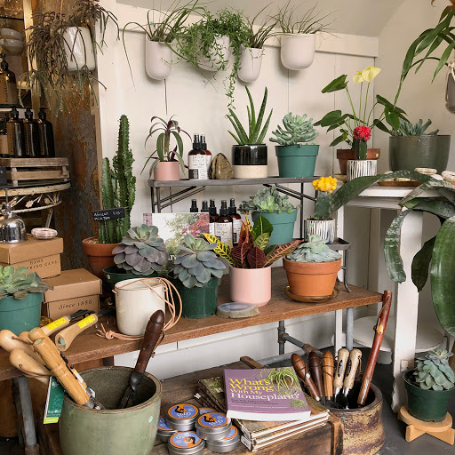 Store «Hops Petunia», reviews and photos, 73 Broadway, Kingston, NY 12401, USA