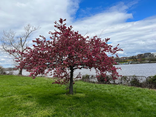 Park «Anacostia Park», reviews and photos, 1900 Anacostia Dr, Washington, DC 20020, USA