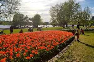 Dows Lake Pavilion image