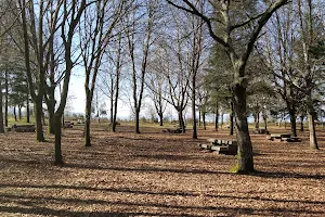 forestal de tameiga Park image
