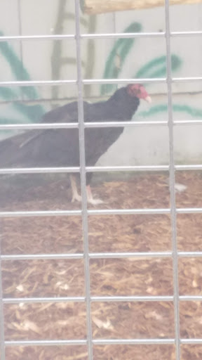 Animal Rescue Service «McCarthys Wildlife Sanctuary», reviews and photos, 12943 61st St N, West Palm Beach, FL 33412, USA