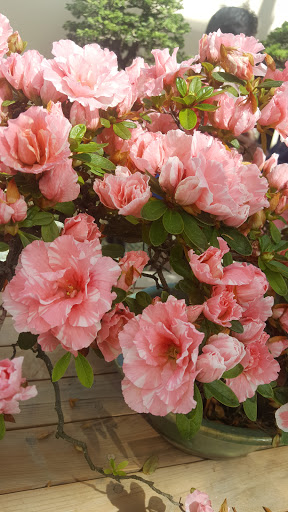 Art Museum «Brooklyn Museum», reviews and photos, 200 Eastern Pkwy, Brooklyn, NY 11238, USA