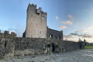 Cloghan Castle image