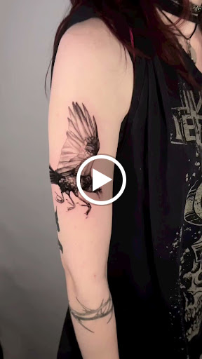 Explore simple horse tattoo ideas, creative tattoo ideas in Kissimmee, available at Fallen Sparrow Tattoo Co