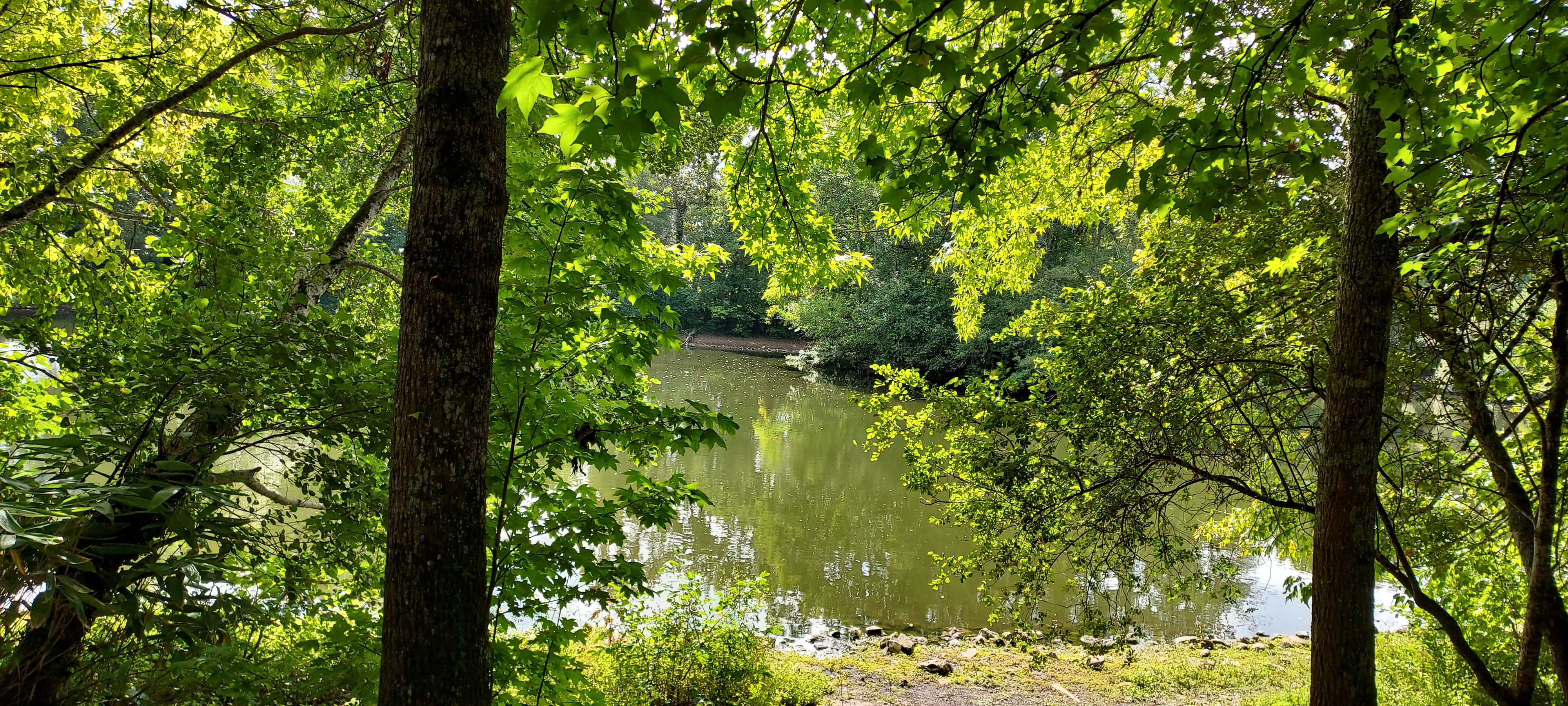 Photo n° 1 de l'avis de Florence.R fait le 04/10/2021 à 07:14