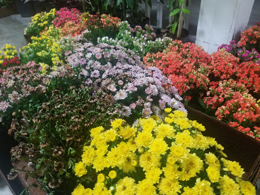 Produce Market «Dunedin Fresh Market», reviews and photos, 390 Patricia Ave, Dunedin, FL 34698, USA