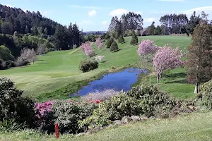 Eketahuna Golf Club image