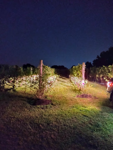 Winery «Salem Oak Vineyards», reviews and photos, 60 N Railroad Ave, Pedricktown, NJ 08067, USA