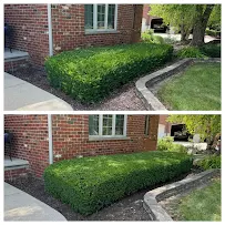 Carving Yards - Car repair in , Joliet - Rated 5.0/5