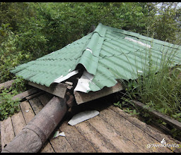 Bukit Nganjir photo