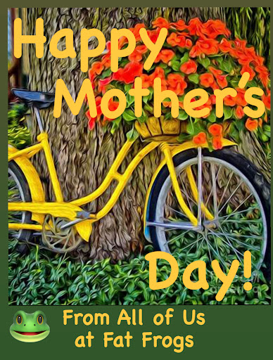 Bicycle Store «Fat Frogs Bike & Fitness», reviews and photos, 1169 Nimmo Pkwy #232, Virginia Beach, VA 23456, USA