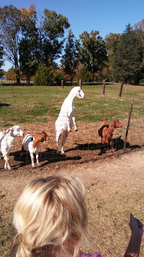 Tourist Attraction «Middleton Farm», reviews and photos, 13250 Cedar Hill Pl, Waldorf, MD 20601, USA