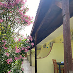 Photo n°4 de l'avis de Michelangelo.a fait le 26/06/2023 à 14:34 sur le  La Piccola Mole à Peschici