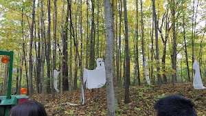 Harris Nature Center - photo 14