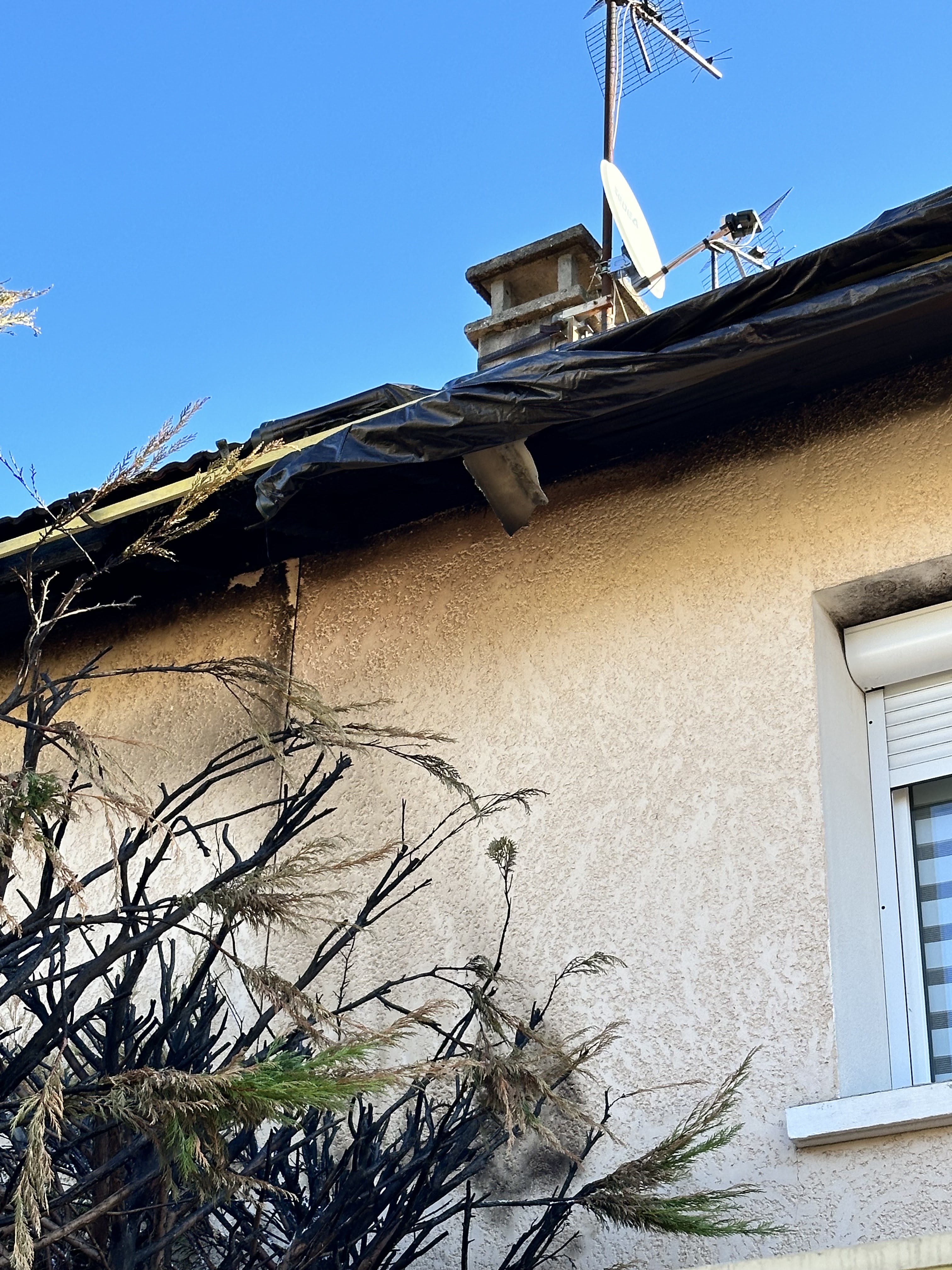 Photo n° 2 de l'avis de Kamel.a fait le 13/10/2023 à 10:08