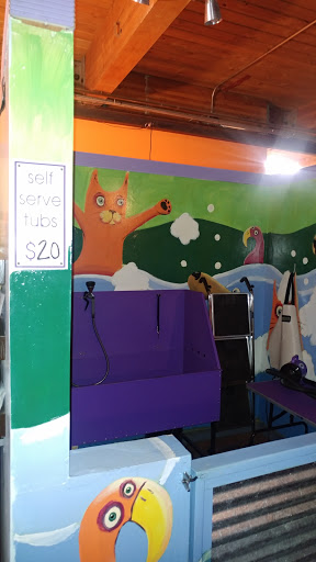 Pet Supply Store «Petapoluza Pet Supply & Grooming», reviews and photos, 114 N 36th St, Seattle, WA 98103, USA