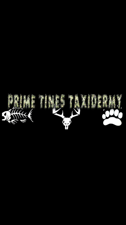 Prime Tines Taxidermy