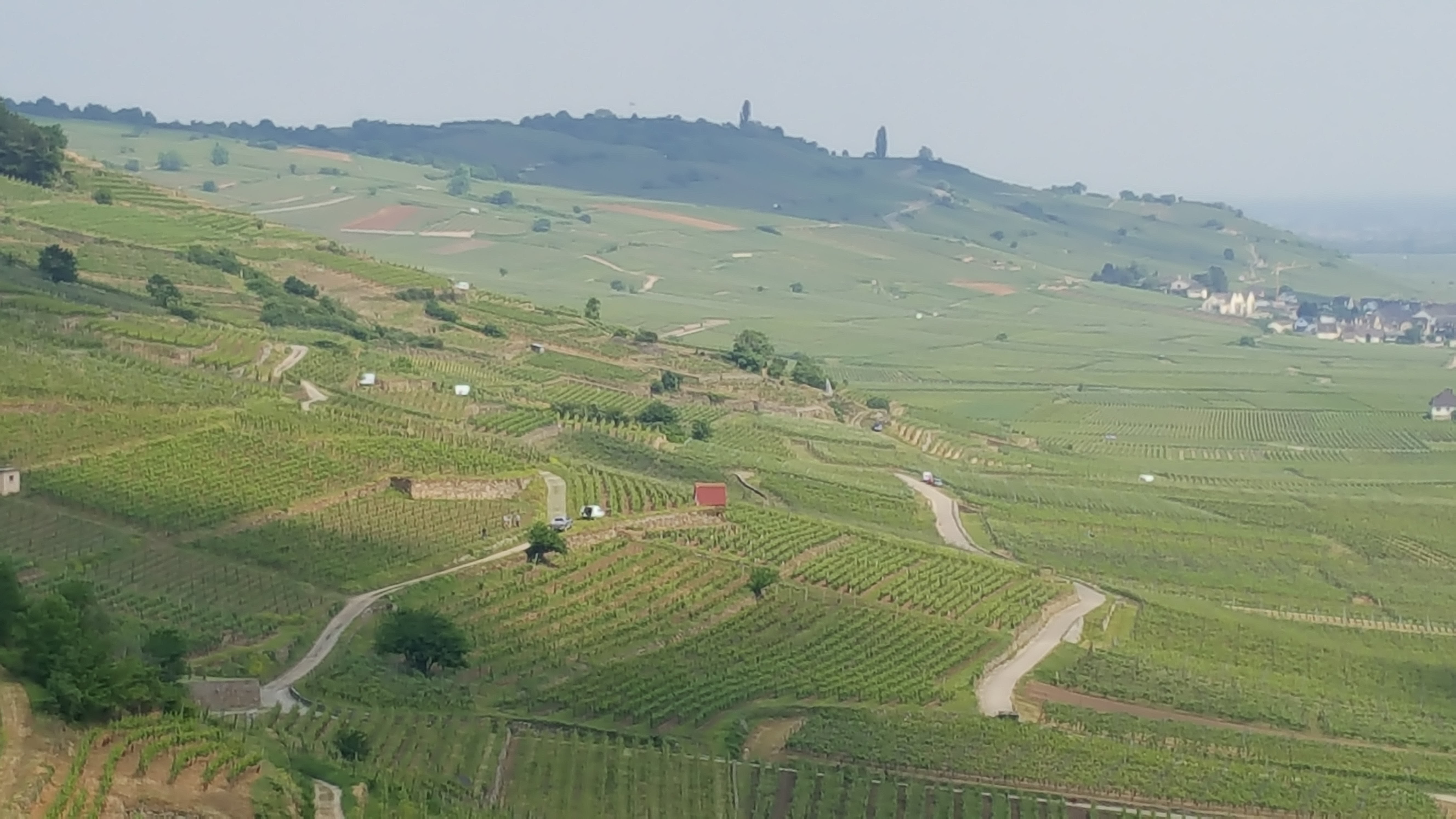 Photo n° 1 de l'avis de Pierrick.O fait le 19/06/2018 à 15:43
