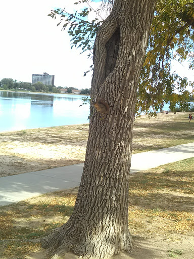 Park «Memorial Park», reviews and photos, 1605 E Pikes Peak Ave, Colorado Springs, CO 80910, USA