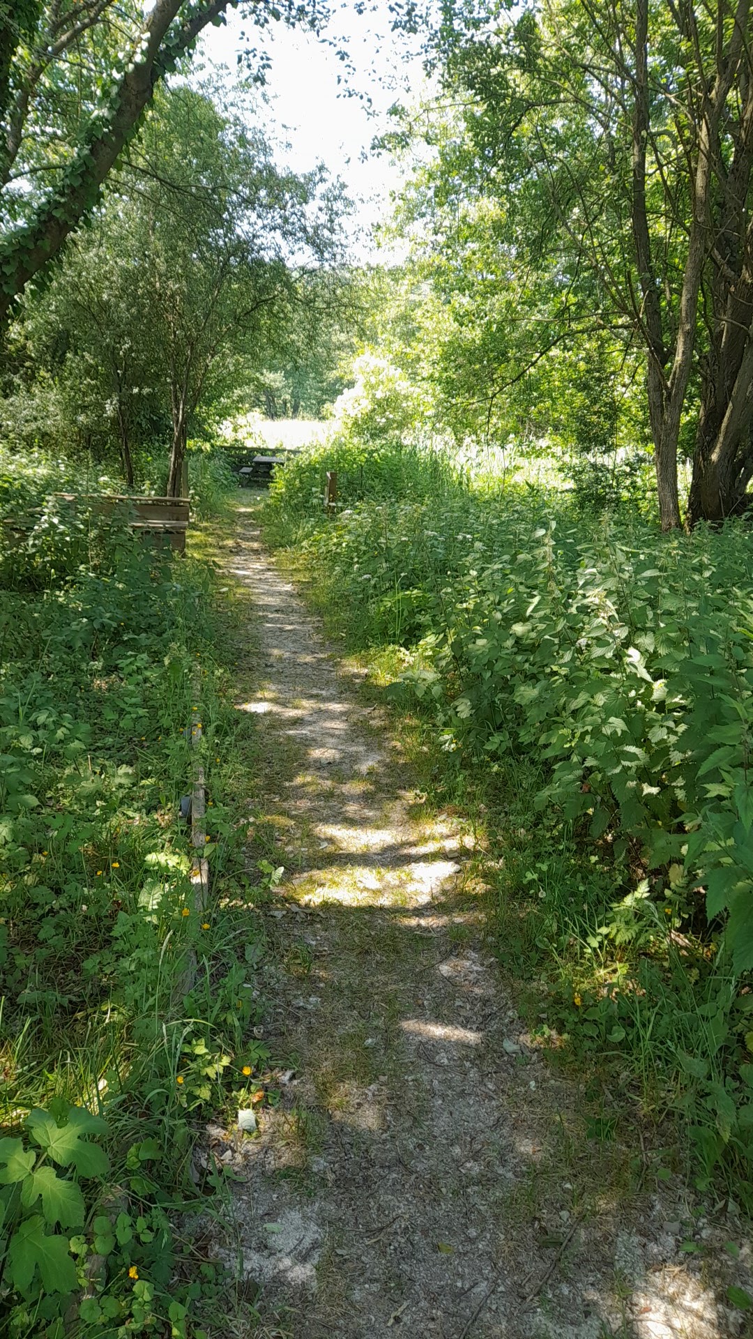 Photo n° 1 de l'avis de Romain.o fait le 09/06/2023 à 12:41