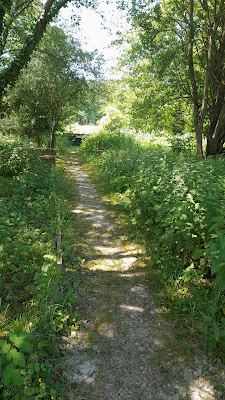 La Roselière de Normanville à Le Mesnil-Lieubray