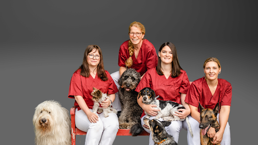 Natascha Hahn Tierarztpraxis unter Königsberg, Bayern