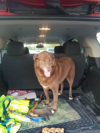 Pet Supply Store «PetSmart», reviews and photos, 5011 Grande Shops Ave, Medina, OH 44256, USA