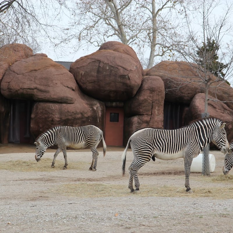 Saint Louis Zoo