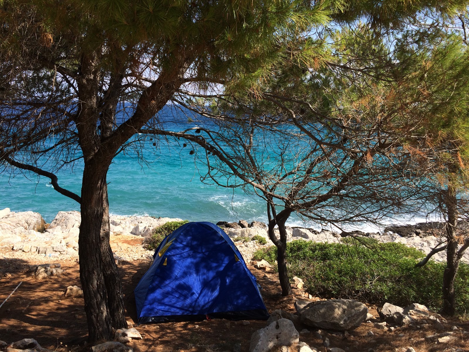 Foto af Dragonera Beach bakket op af klipperne