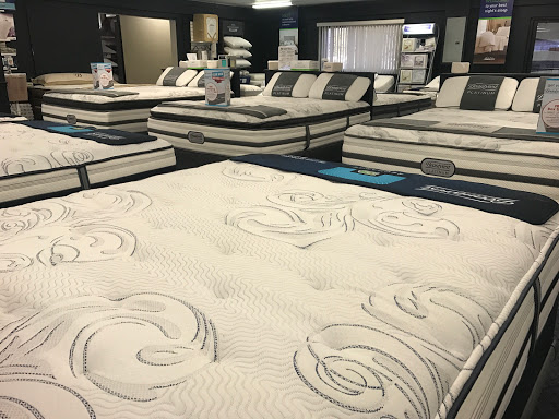 Appliance Store «Famous Tate Appliance & Bedding Centers», reviews and photos, 8317 N Armenia Ave, Tampa, FL 33604, USA