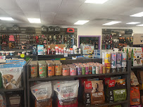 Pet Palace - Photo 3 - Car repair in Bakersfield, CA, Bakersfield