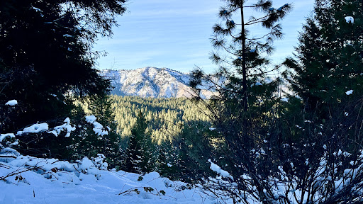 Photo of Pioneer Power Systems Northwest