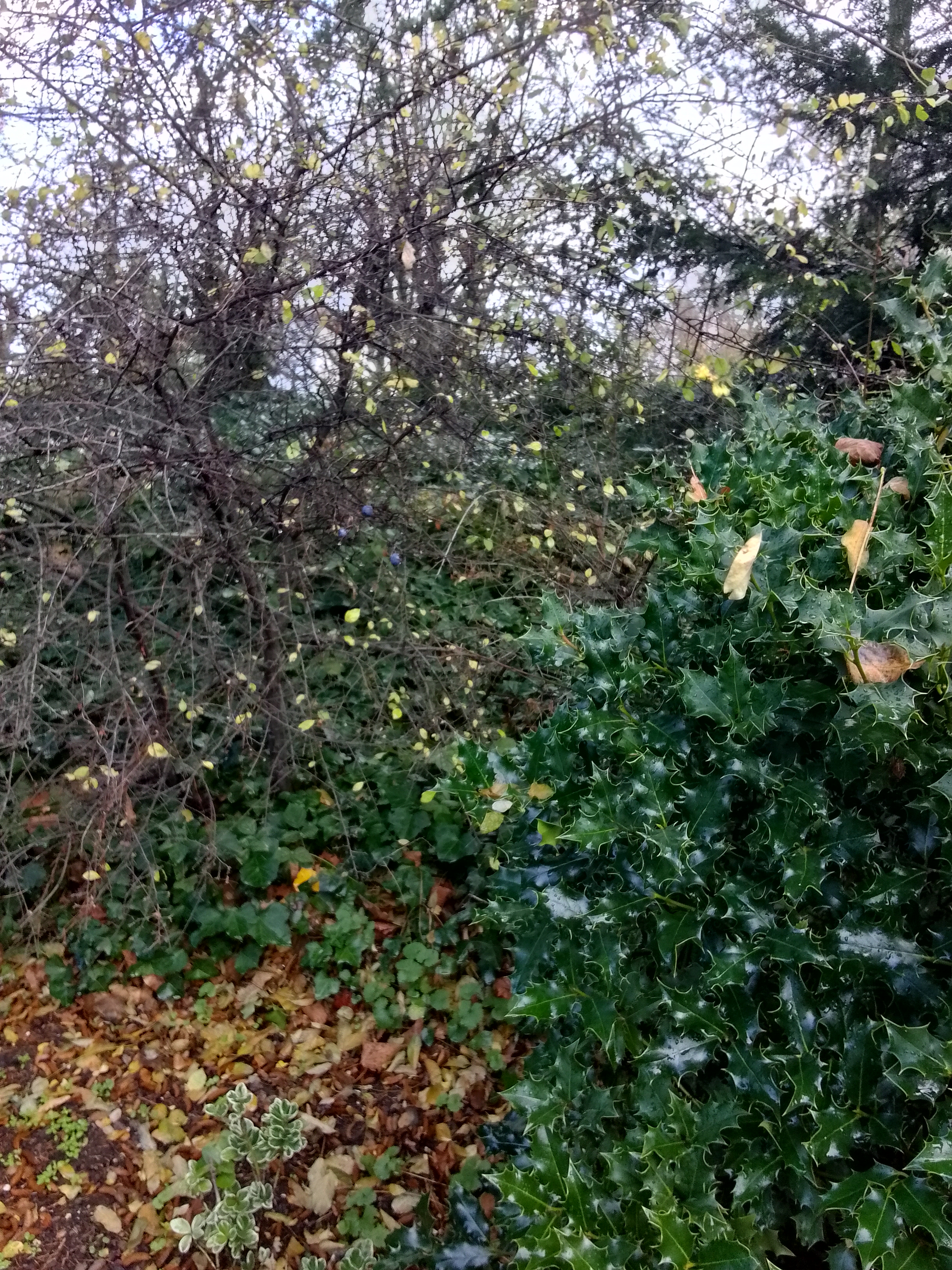 Photo n° 21 de l'avis de Lyson.m fait le 28/11/2023 à 11:34