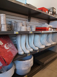 Photo n°13 de Xausa Pesage à Puisserguier ()