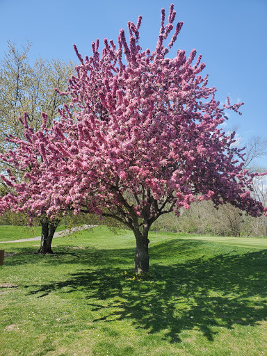 Golf Course «Otter Creek Golf Course», reviews and photos, 11522 E 50 N, Columbus, IN 47203, USA