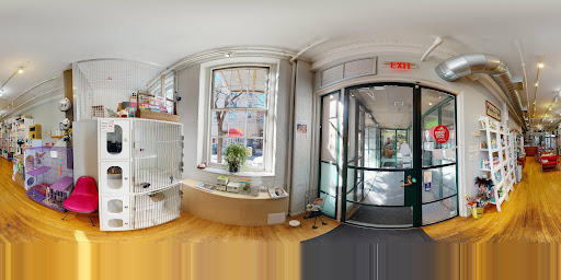 Pet Supply Store «PS9 Pets», reviews and photos, 169 N 9th St, Brooklyn, NY 11211, USA