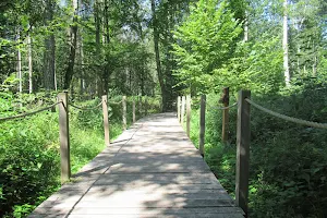 Royal Oak Trail image
