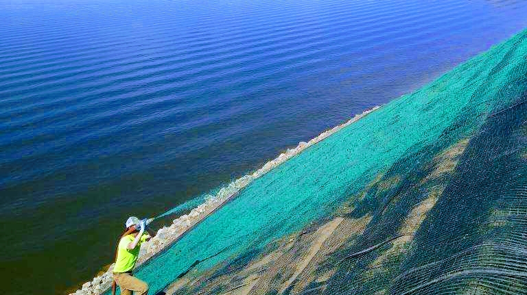 Black Hills Hydro Turf