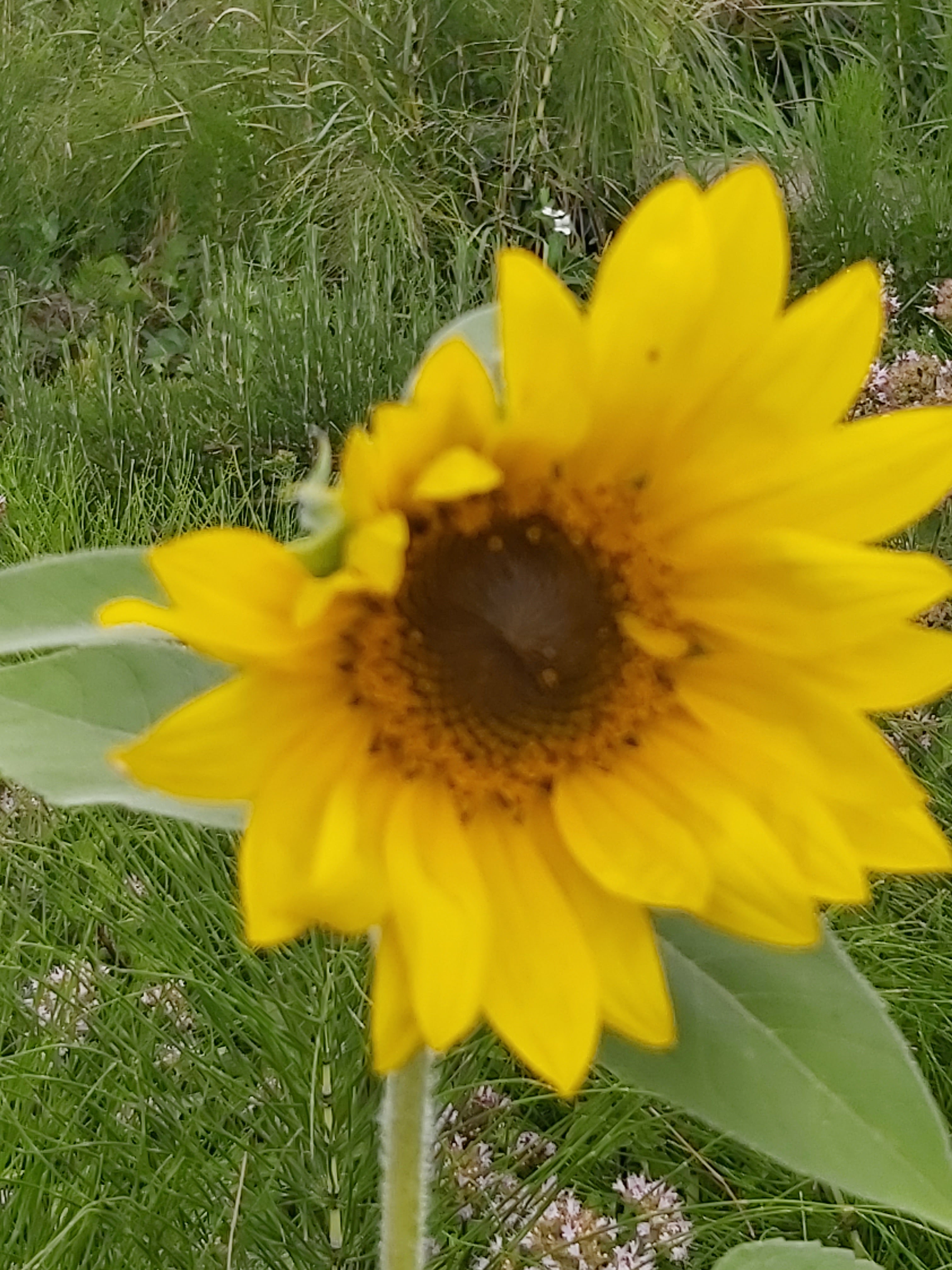 Photo n° 5 de l'avis de marlene.a fait le 26/07/2020 à 20:55