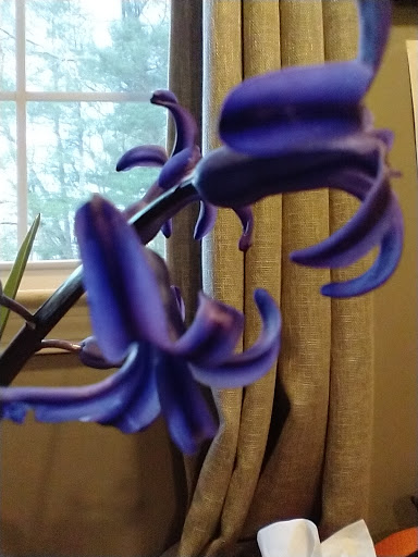 Clothing Store «Patagonia Boston», reviews and photos, 346 Newbury St, Boston, MA 02115, USA